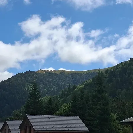 דירה Cosy Au Lioran - Vue Montagne, Lit Queen, Parking Prive - Menage Inclus *