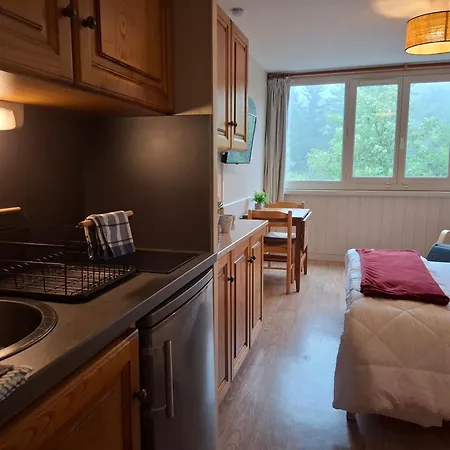Apartmán Studio Premium Au Lioran - Linge Et Menage Inclus - Lit Queen, Parking Prive Le Lioran