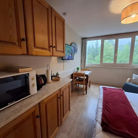 Apartmán Studio Premium Au Lioran - Linge Et Menage Inclus - Lit Queen, Parking Prive