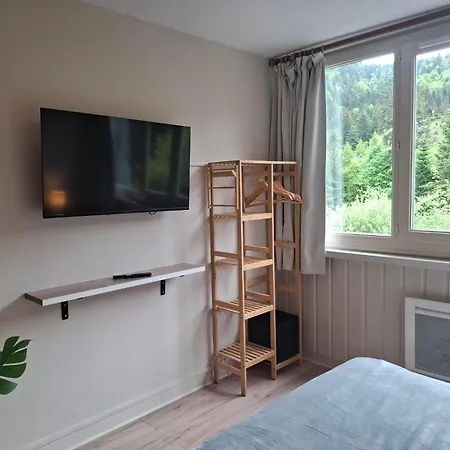 Studio Premium Au Lioran - Linge Et Menage Inclus - Lit Queen, Parking Prive * לה ליאורן