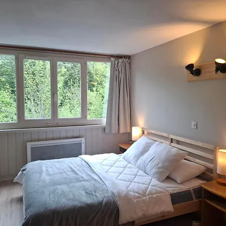 Studio Premium Au Lioran - Linge Et Menage Inclus - Lit Queen, Parking Prive דירה
